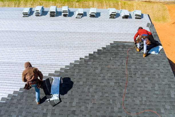 Best Storm Damage Roof Repair  in Fort Meade, FL