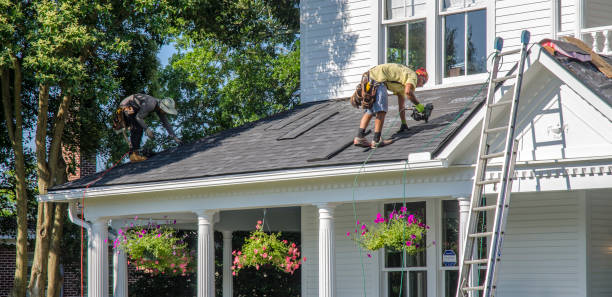 Best Roof Gutter Cleaning  in Fort Meade, FL